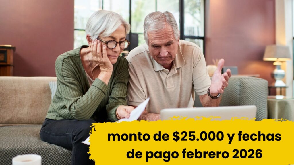 Ayuda Escolar en Argentina: requisitos, monto de $25.000 y fechas de pago febrero 2026